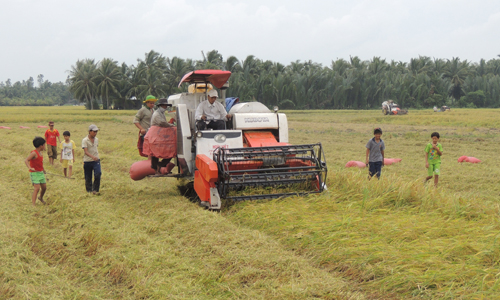  Bản đồ công nghệ nâng cao vị thế ngành lúa gạo Việt Nam