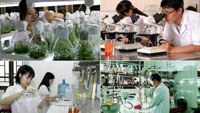 Tiêu chuẩn mới với viên chức ngành khoa học và công nghệ